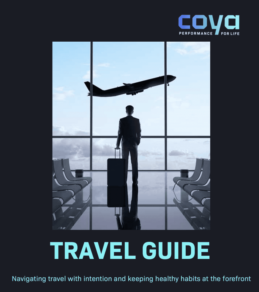 Business traveler with a suitcase stands in an airport terminal, watching a plane take off through large windows; TRAVEL GUIDE text displayed below.